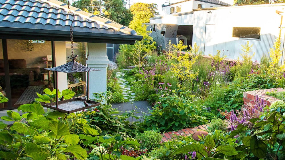 Open Gardens Victoria - North Haven, summer plants at back of house