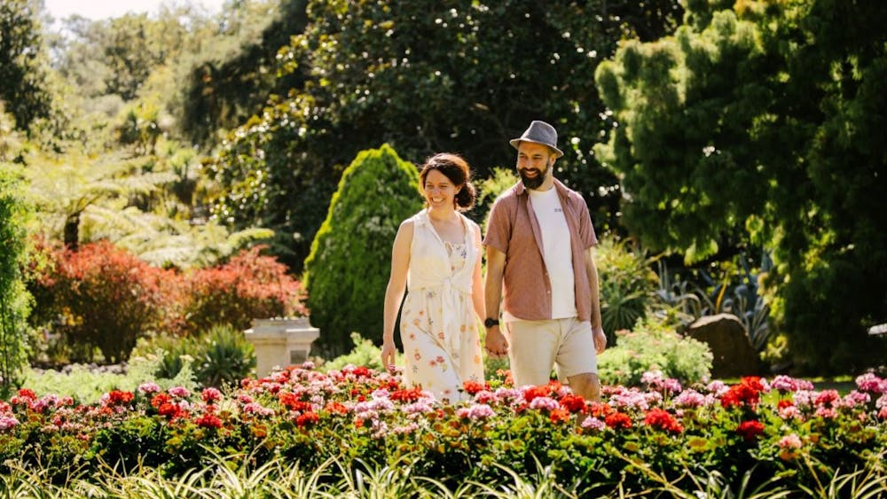 Ballarat Begonia Festival - Ballarat Botanical Gardens
