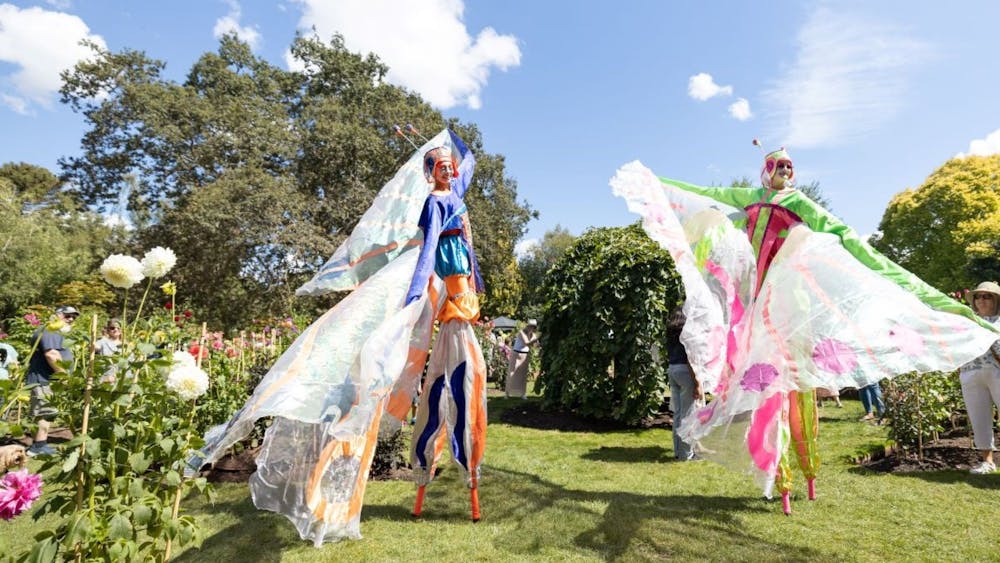 Ballarat Begonia Festival Entertainment