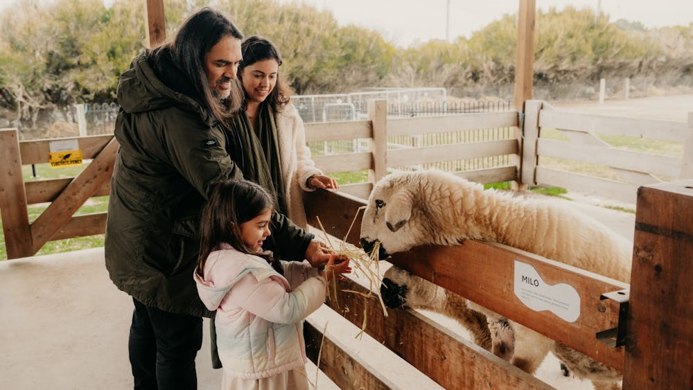 MEET CRESWICK FUN LOVING ANIMALS