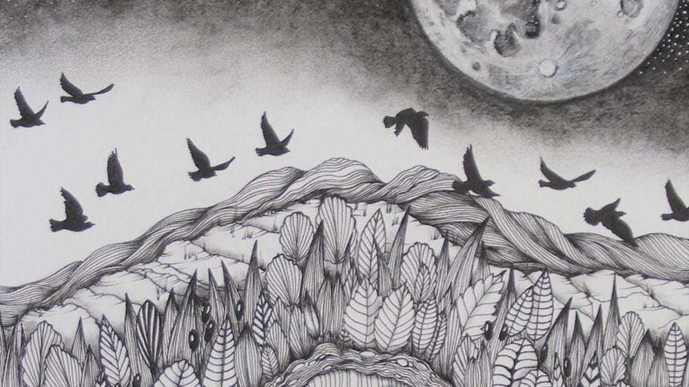 Glynis Bryden - pen drawing