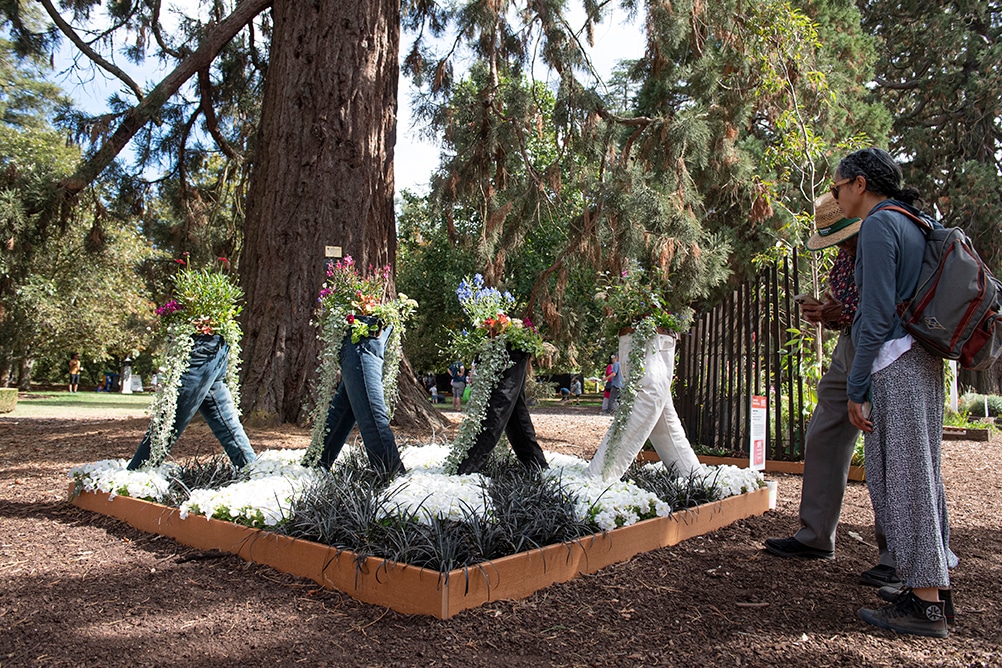 Thumbnail for Sustainable Garden Displays at the Ballarat Begonia Festival