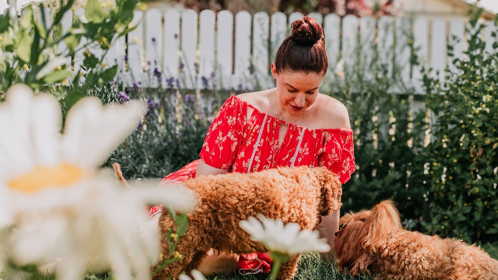 pet friendly garden and home