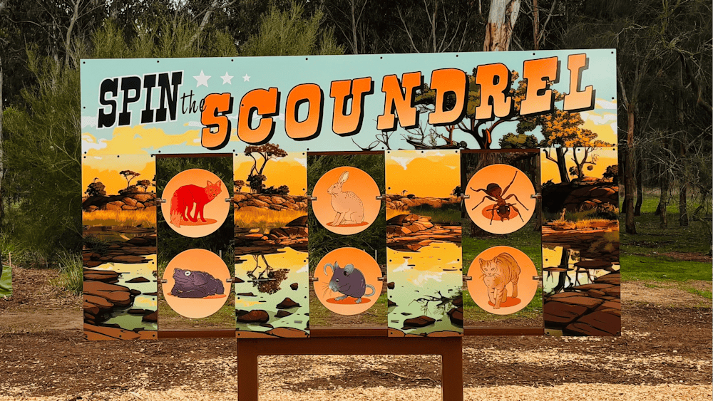 Spin the scoundrel