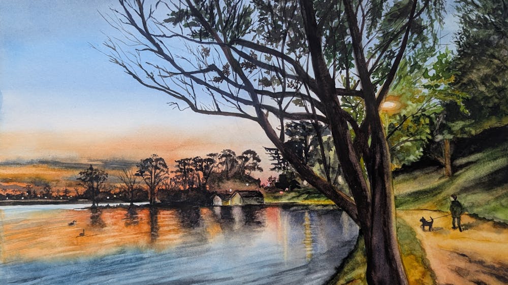 Beautiful colours of sunset and silhouetted trees and reflections on Lake Wendouree