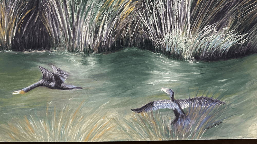 2 birds flying above the water near a grassy bank