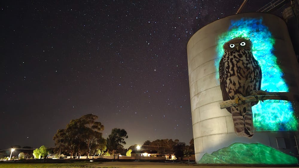 Thumbnail for Avoca Silo Art