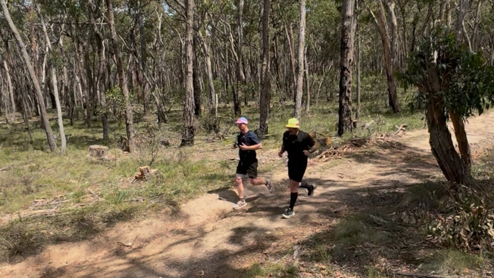 Thumbnail for Pace the Pyrenees Ultra Trail