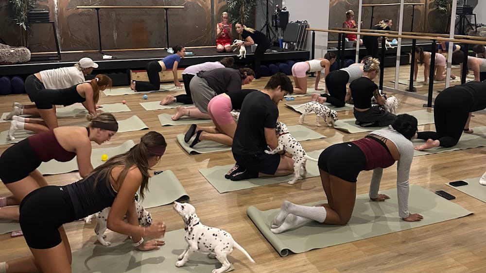 Pup Yoga Class