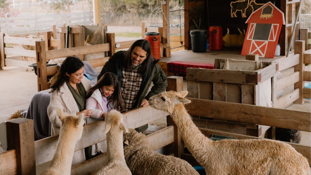 CHRISTMAS IN JULY SCHOOL HOLIDAYS AT CRESWICK FARMYARD