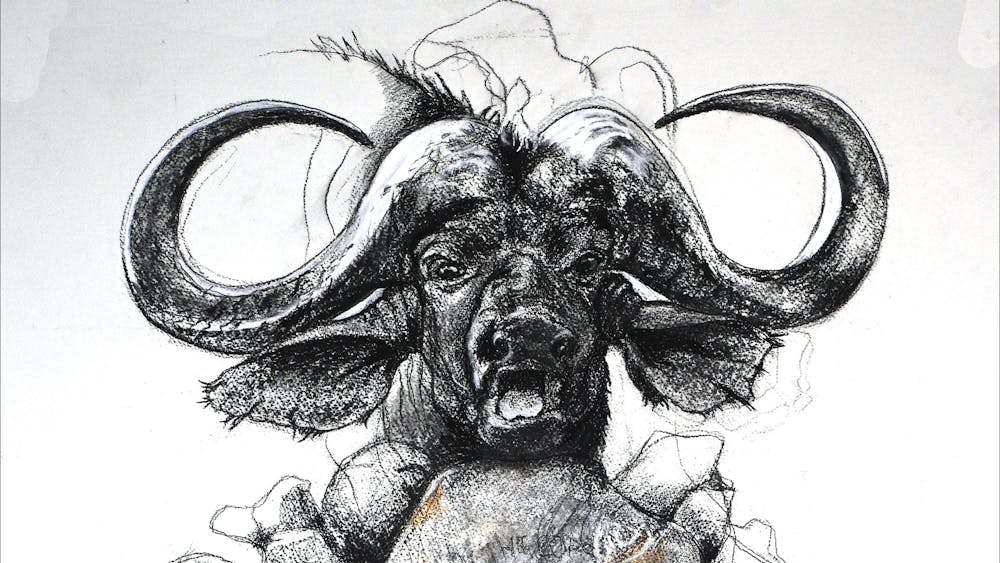 Thumbnail for Ballarat Drawers  2026