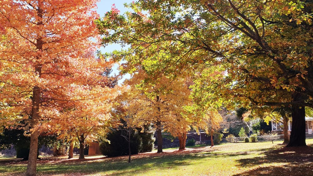 Autum