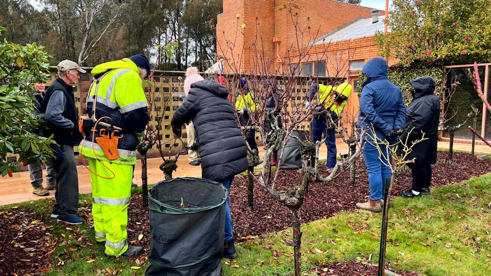 Participants at the 2025 rose pruning workshops