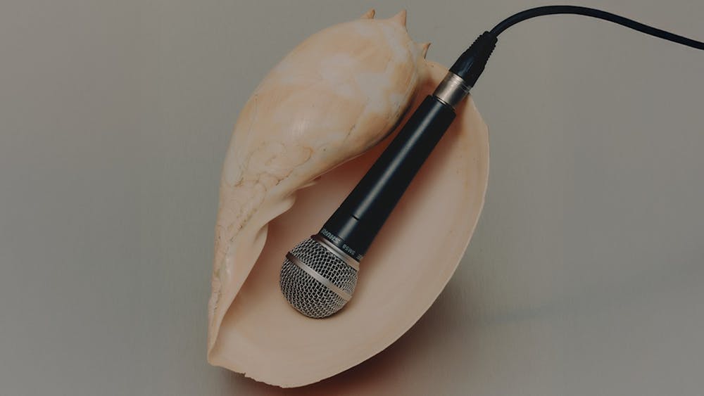 A picture of a pink shell with a microphone resting inside it, mimicking female genitalia