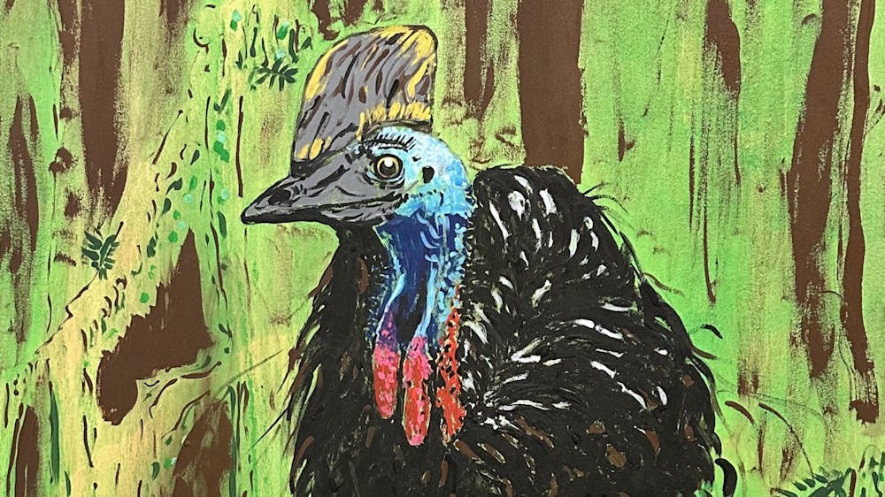 Painting of a cassawary bird