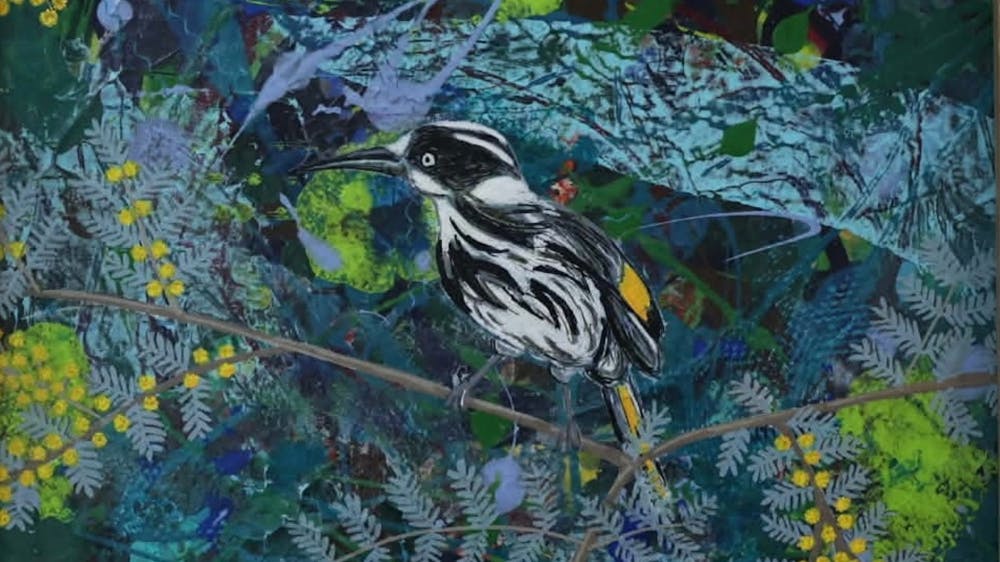 Mixed media collage of a New Holland Honey Eater bird