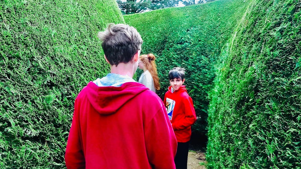 Children in a hedge maze