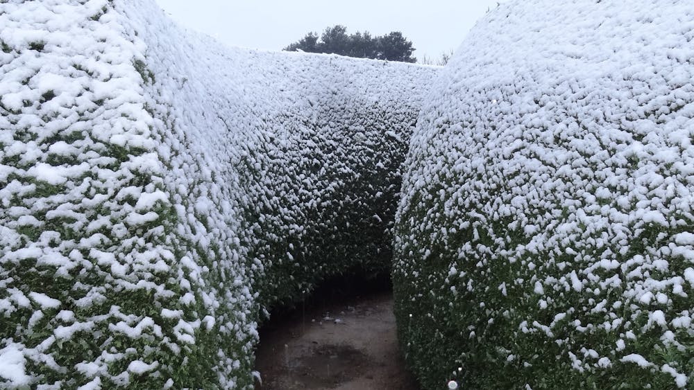 Hedge maze with snow on it