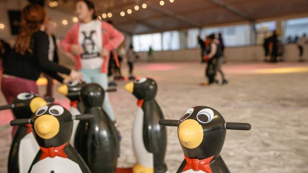 Thumbnail for Ice Rink Discount
