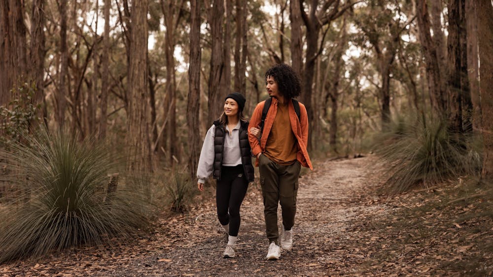 Two people walking through Woowookarung Regional Park Bush land