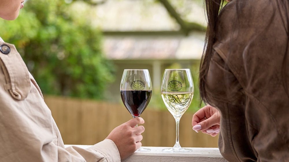 Two people holding wine glasses
