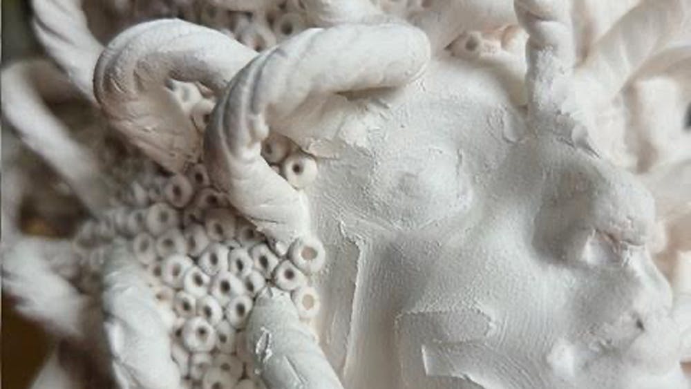 Porcelain sculpture. Face and details