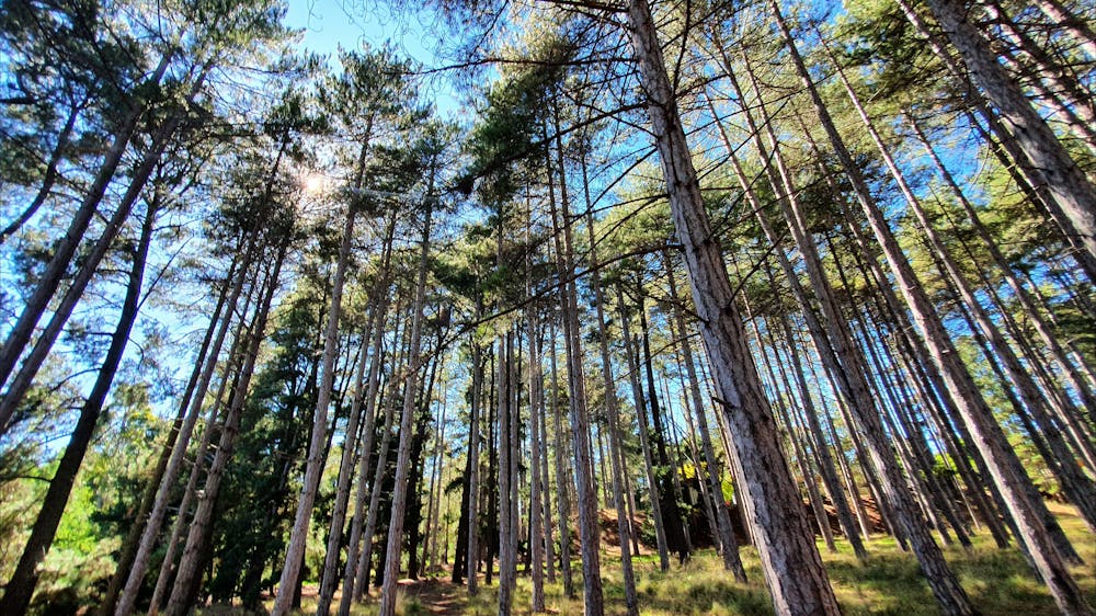 Creswick Holiday Park surrounds