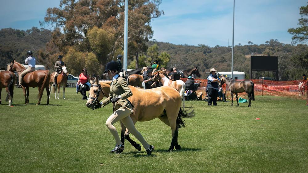 Horse Show
