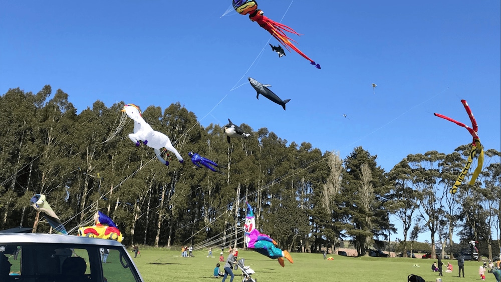 Thumbnail for Dean Kite Festival