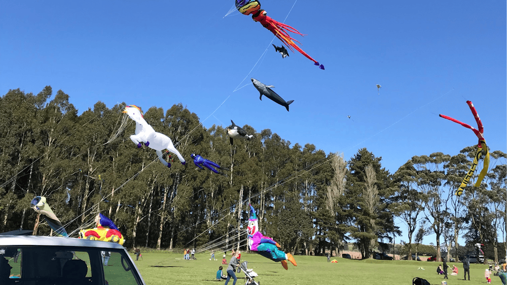 Thumbnail for Dean Kite Festival