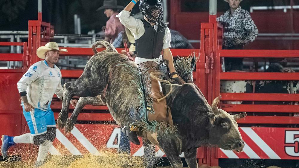 Bull Bucking