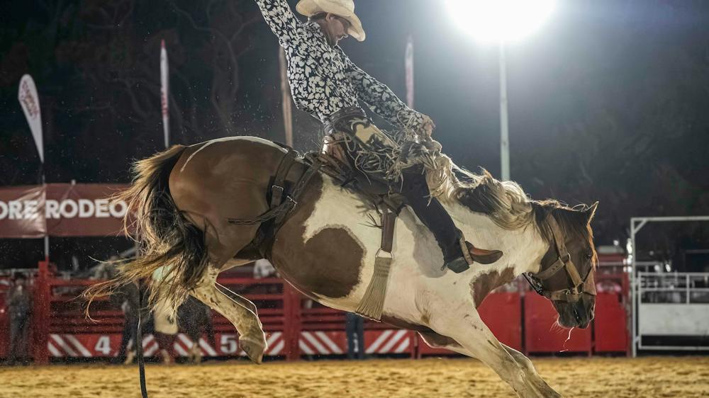 Saddle Bronc Rider