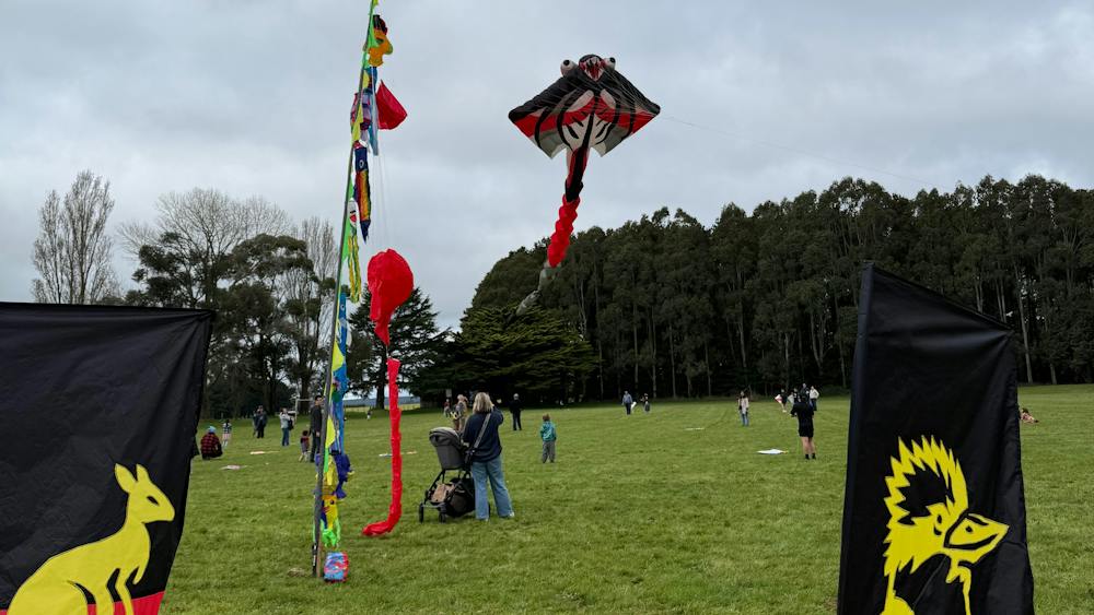 Colourful kites flying