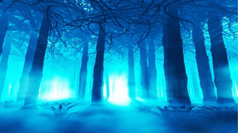 A spooky forest depicting Salem Witches: A Halloween Murder Mystery Event at the Creswick Theatre Co