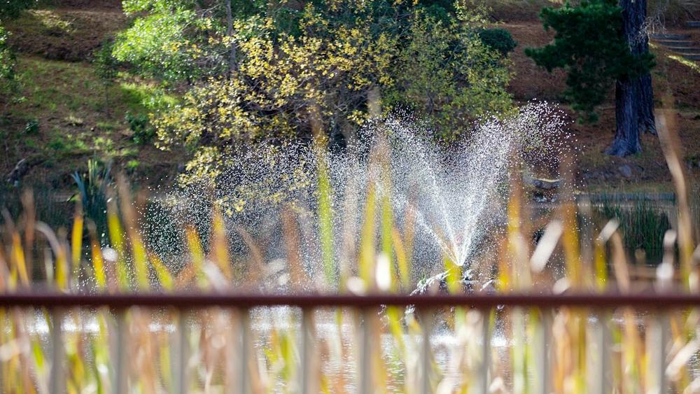 Creswick of the Lindsays Arts Trail