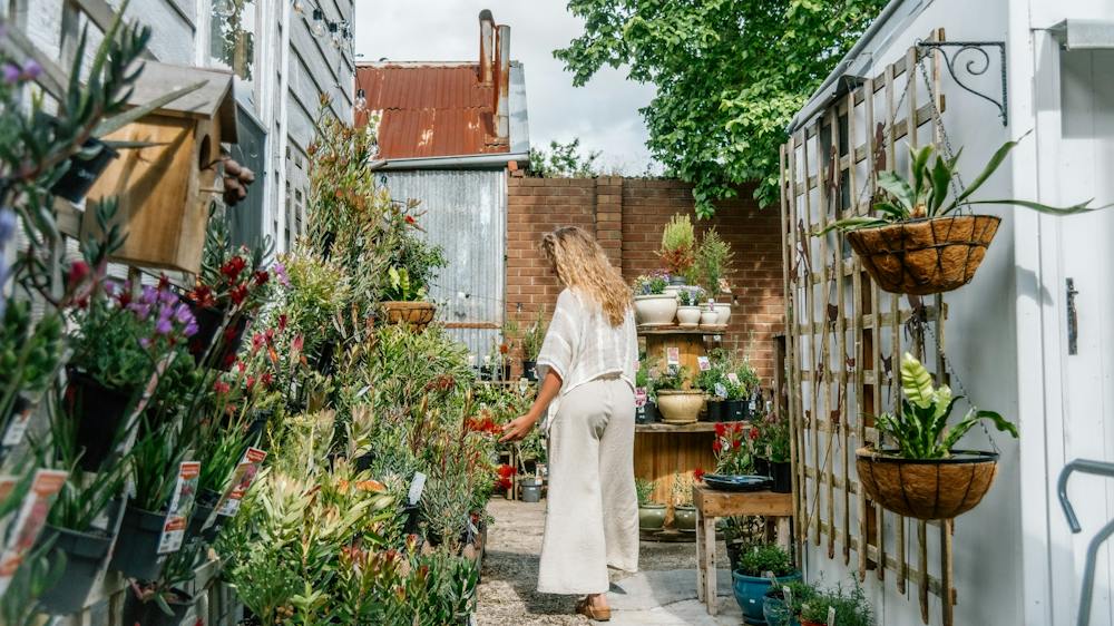 Person in Nursery looking at plants