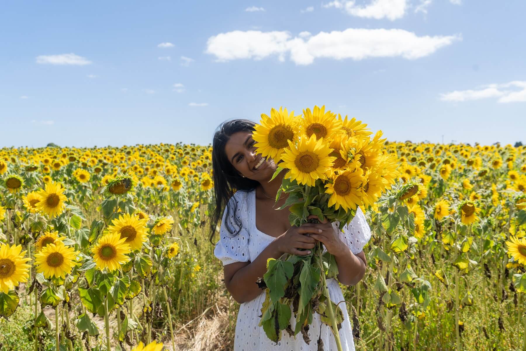 Thumbnail for Ballarat’s best farm experiences