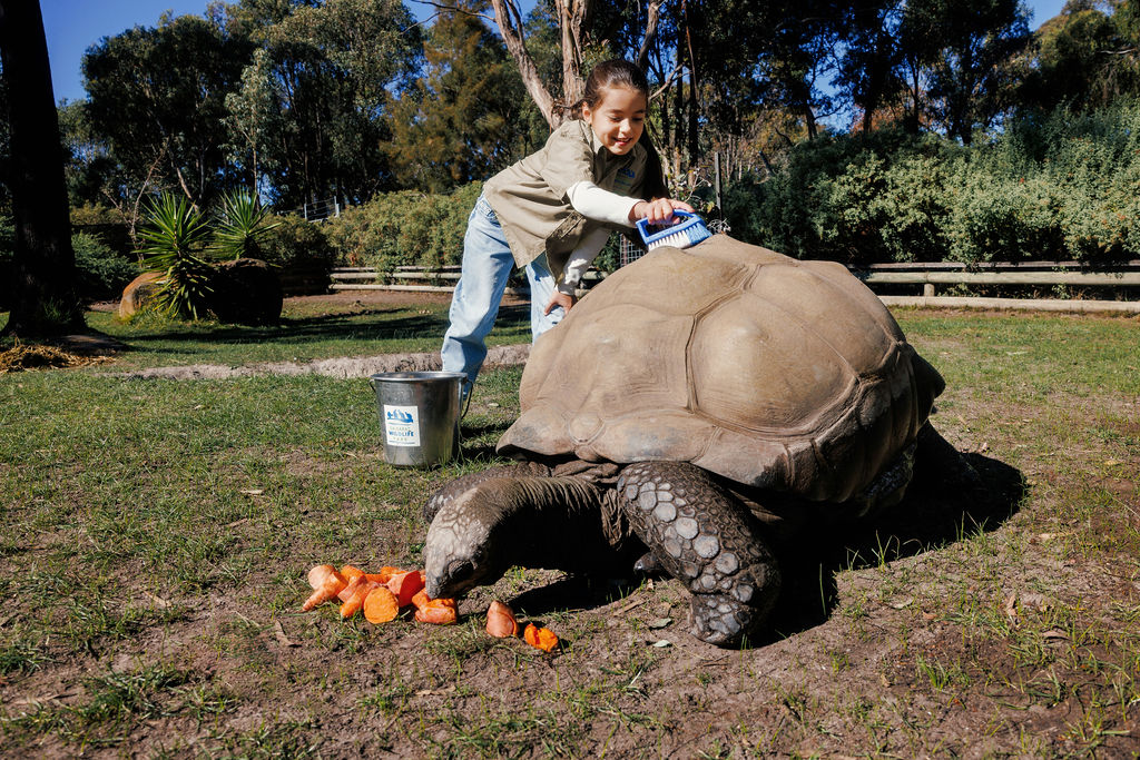Thumbnail for What’s on in Ballarat this summer school holidays