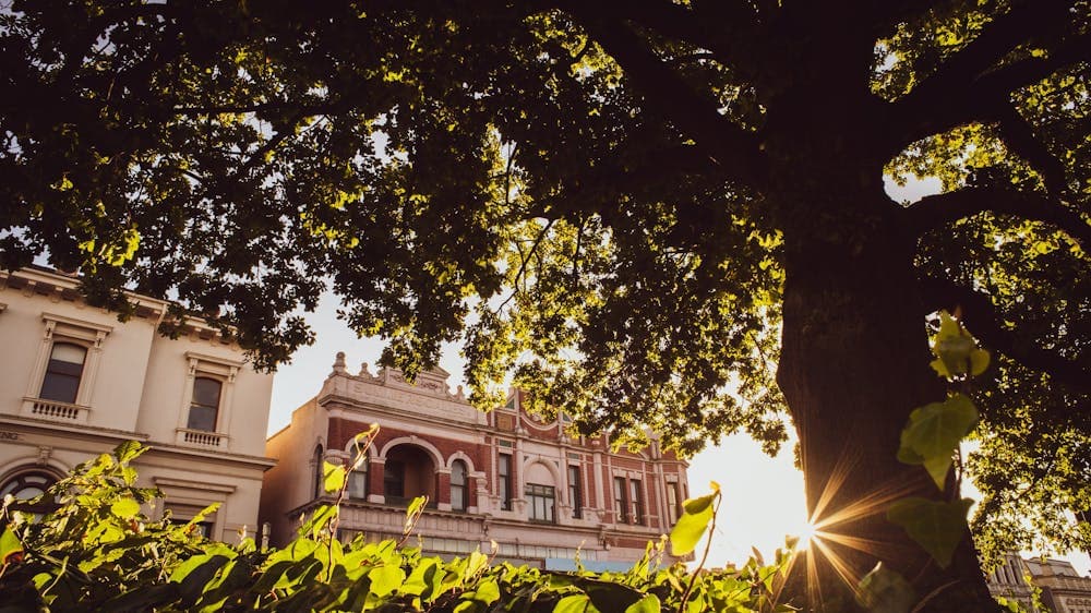 Hidden Lanes, along Sturt Street Ballarat
