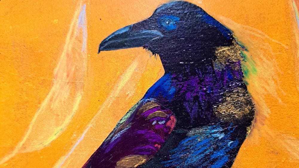Black Purple feathers that reflect colourful light on a orange background with collage below