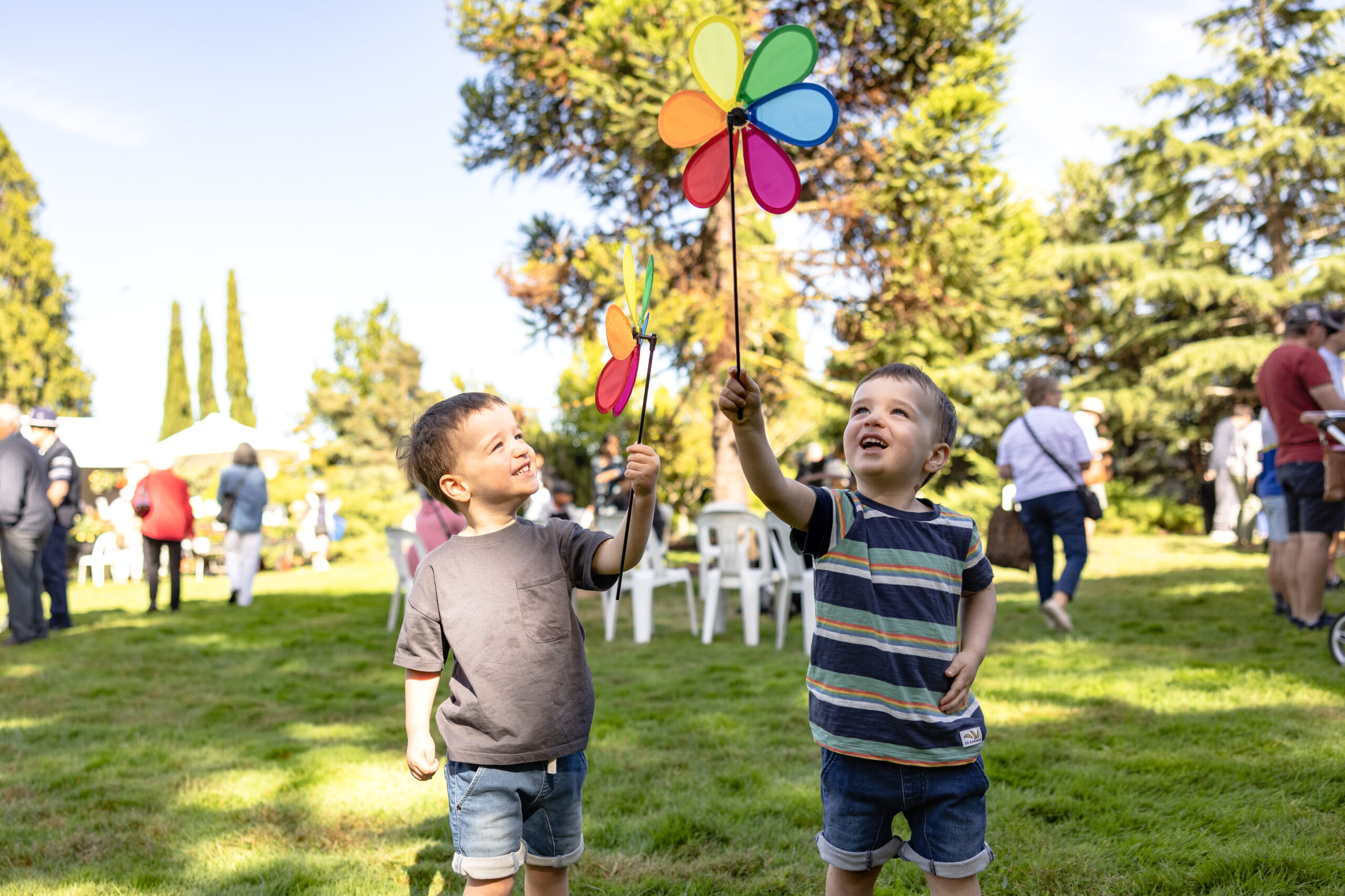 Thumbnail for Garden of Giggles at the Ballarat Begonia Festival