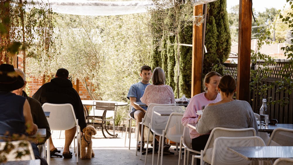 Pet-friendly courtyard