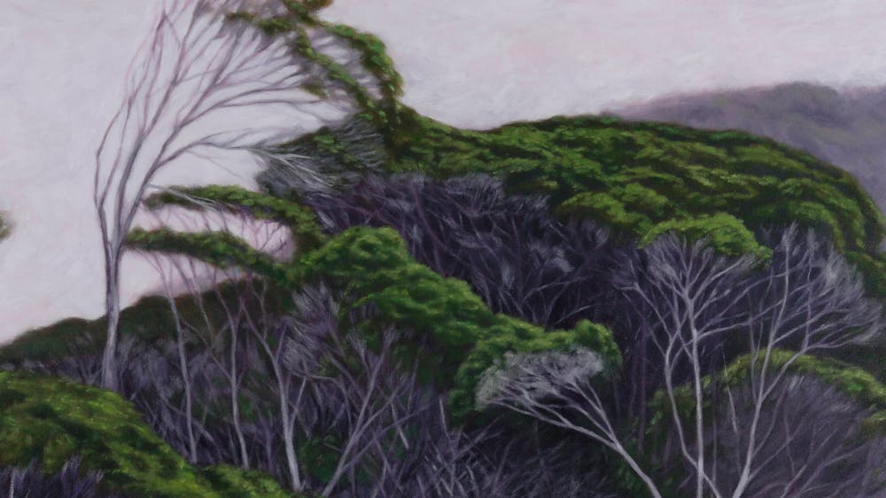 National Park NSW 91x91cms Oil on Canvas