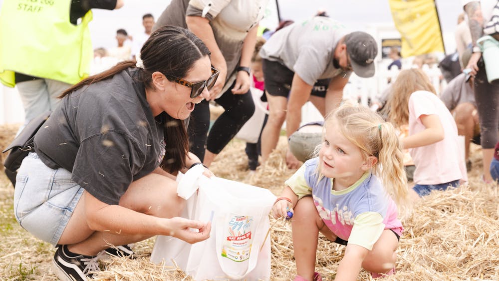 People finding eggs in the hunt
