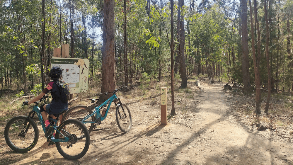 A young girls sits on the mountain bike reading a trail information board with the word "gurri"