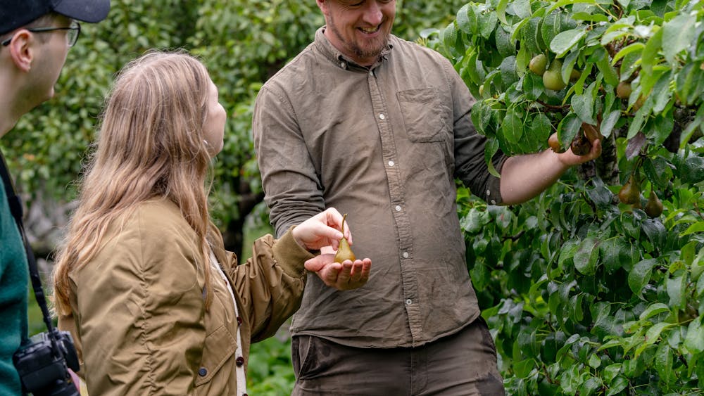 Couple and gardener sharing pears
