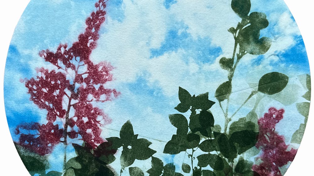 Blue sky with pink and green plants