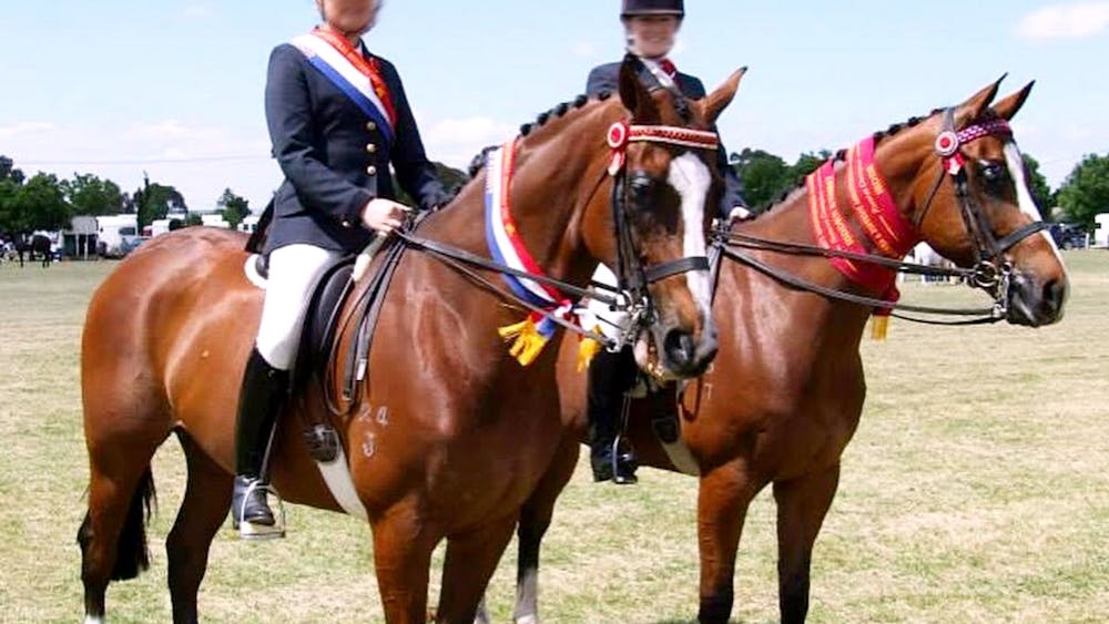 Clunes Show
