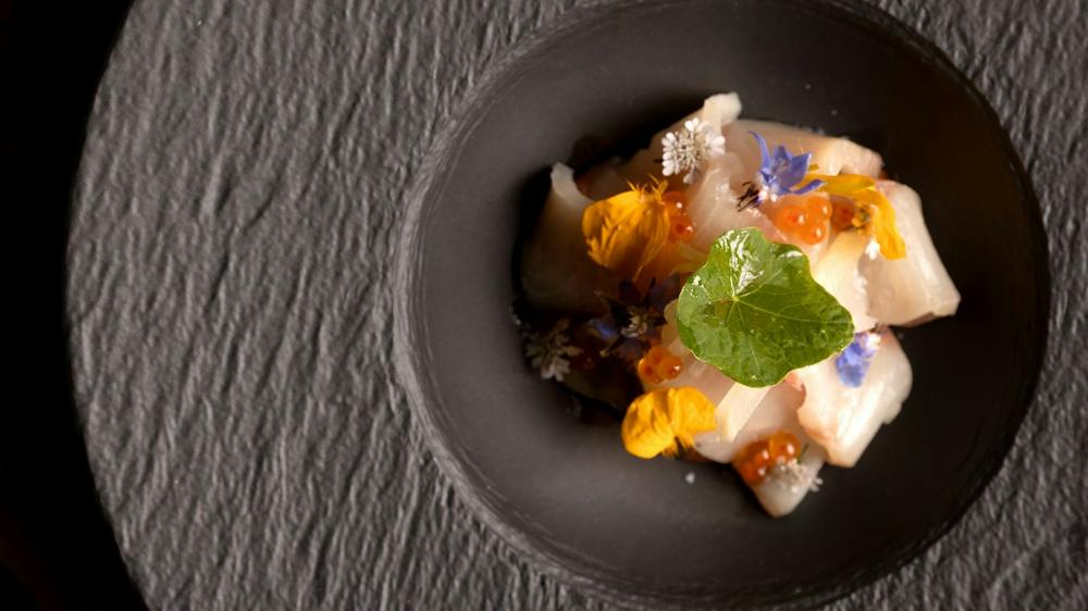 ceviche
