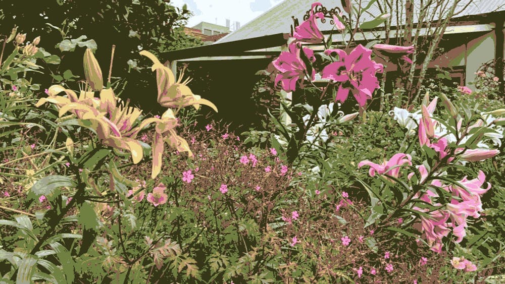 colourful garden